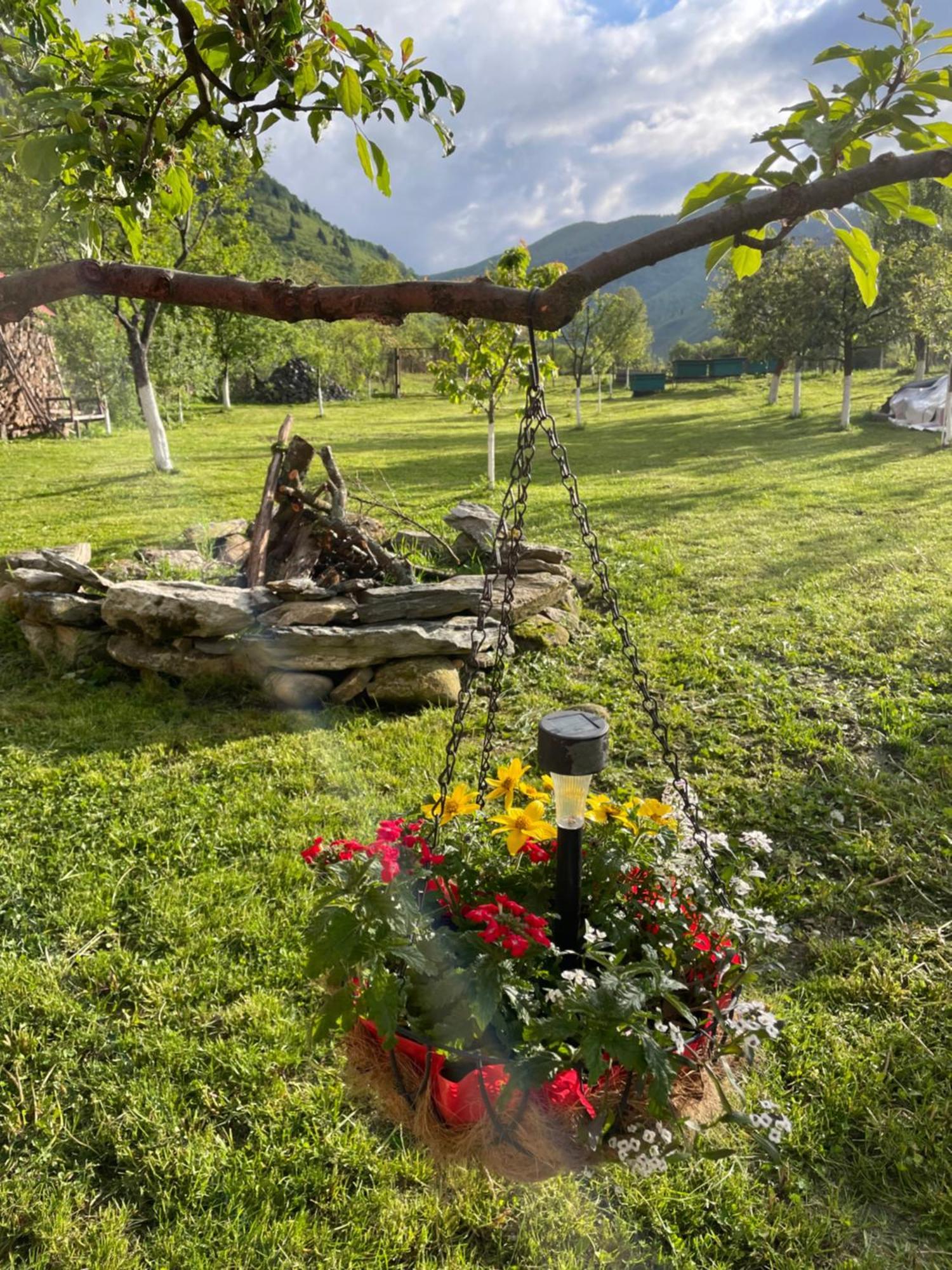 Hotel Casa Bunicilor Nucsoara  Exteriér fotografie